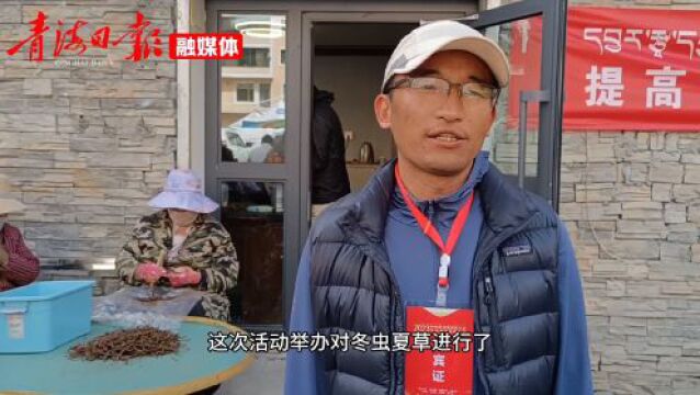 玉树:2023第四届全国虫草大会开幕