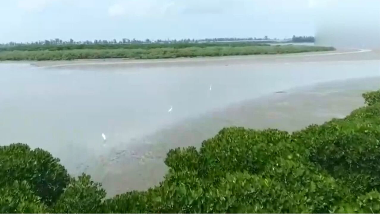 今天是世界海洋日暨全国海洋宣传日,保护海洋生态系统,人与自然和谐共生