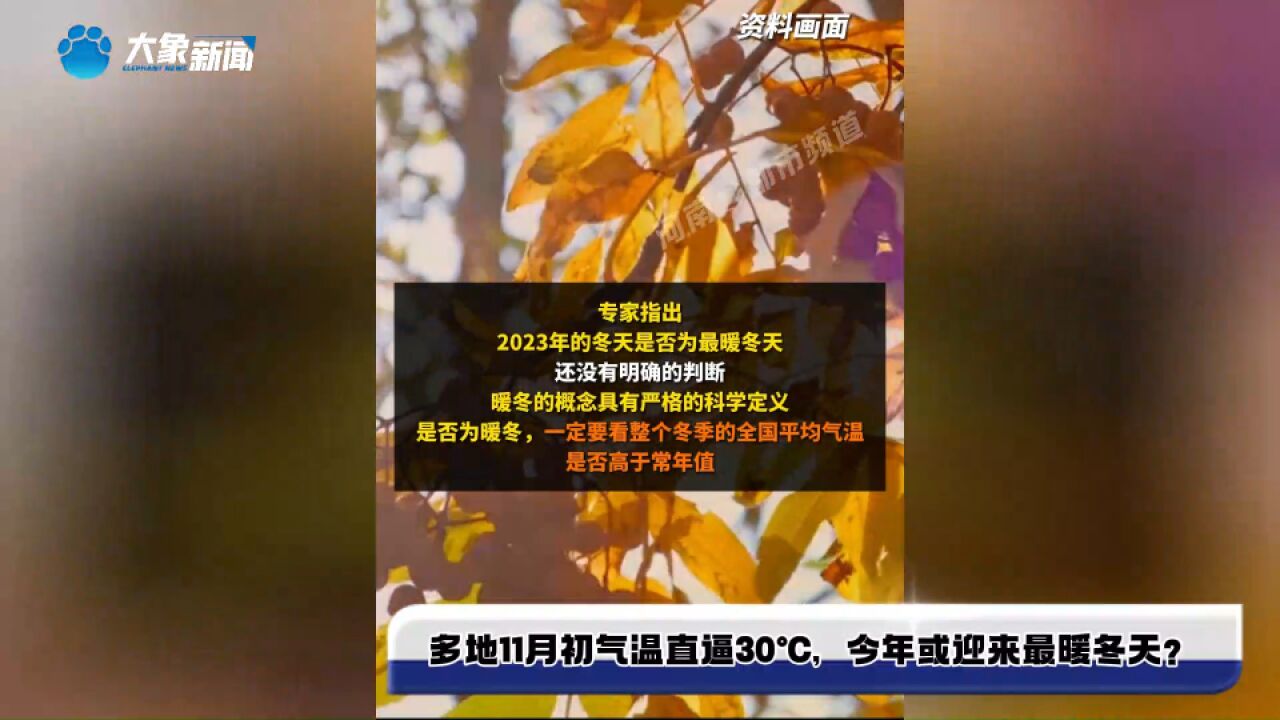 多地11月初气温直逼30℃,今年或迎来最暖冬天?专家:目前还不能明确