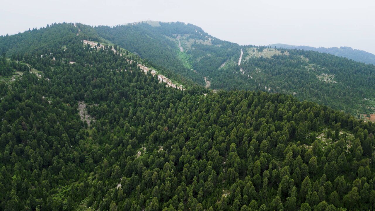 仲夏航拍枣庄杨峪风景区 青山环绕绿意盎然