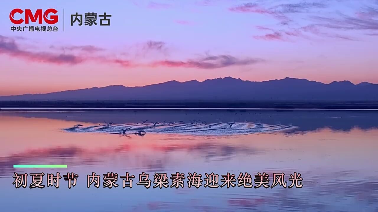 初夏的一份治愈,乌梁素海水天一色宛如画