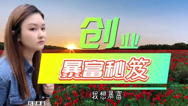 小白创业暴富秘笈