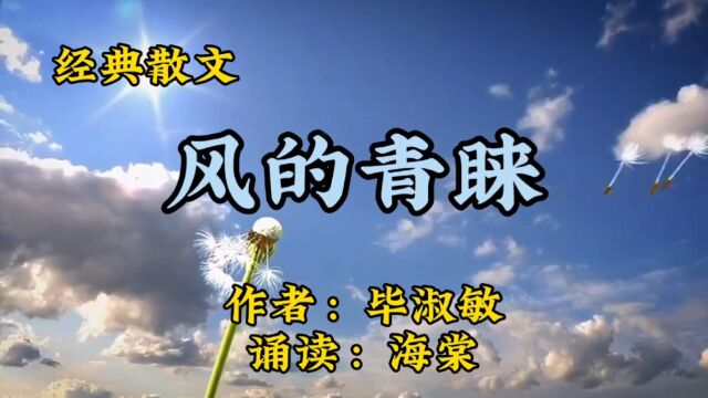 经典散文诵读:《风的青睐》作者:毕淑敏