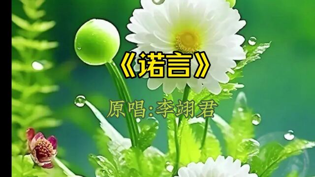 《诺言》演唱:李翊君