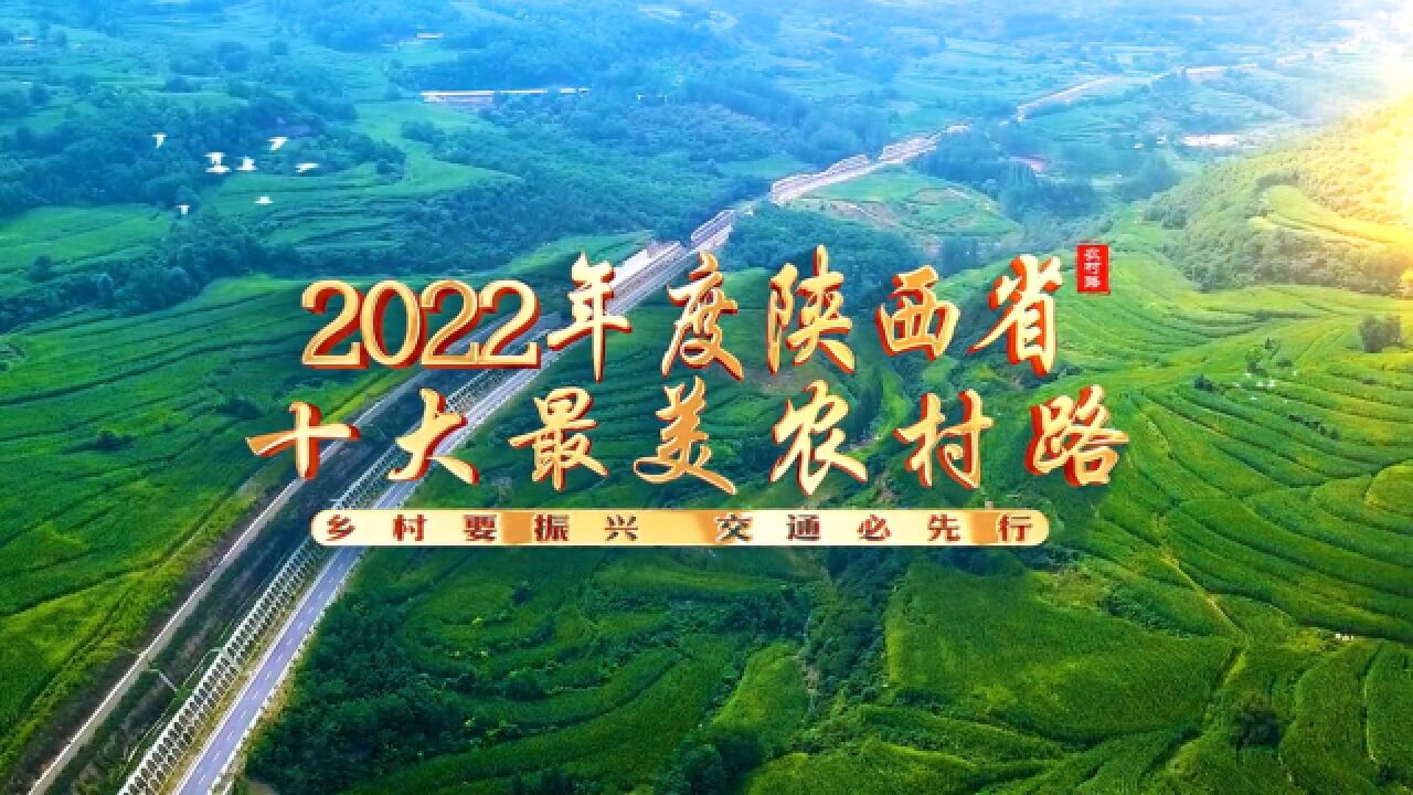 2022年度陕西省十大最美农村路揭晓