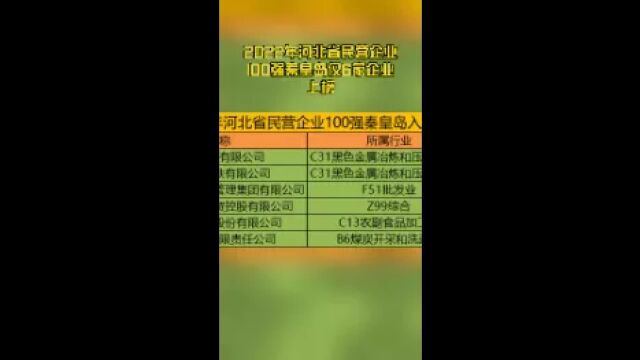 2022年河北省民营企业100强秦皇岛仅6家企业上榜