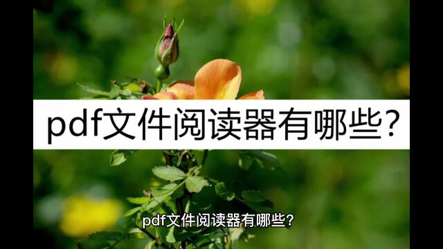 pdf文件阅读器有哪些?这几款别错过