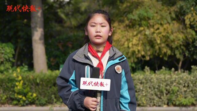 江苏中小学生书法大赛射阳专场:“足球小子”爱练书法