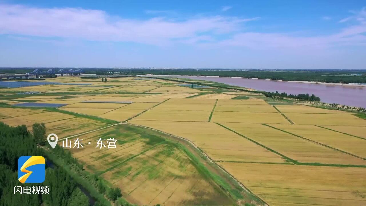 诗词里的丰收礼赞!齐鲁大地好“丰”景,看乡村振兴新画卷