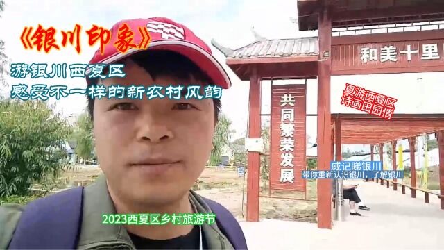 银川印象:由银川西夏区兴泾镇,感受不一样的新农村风韵