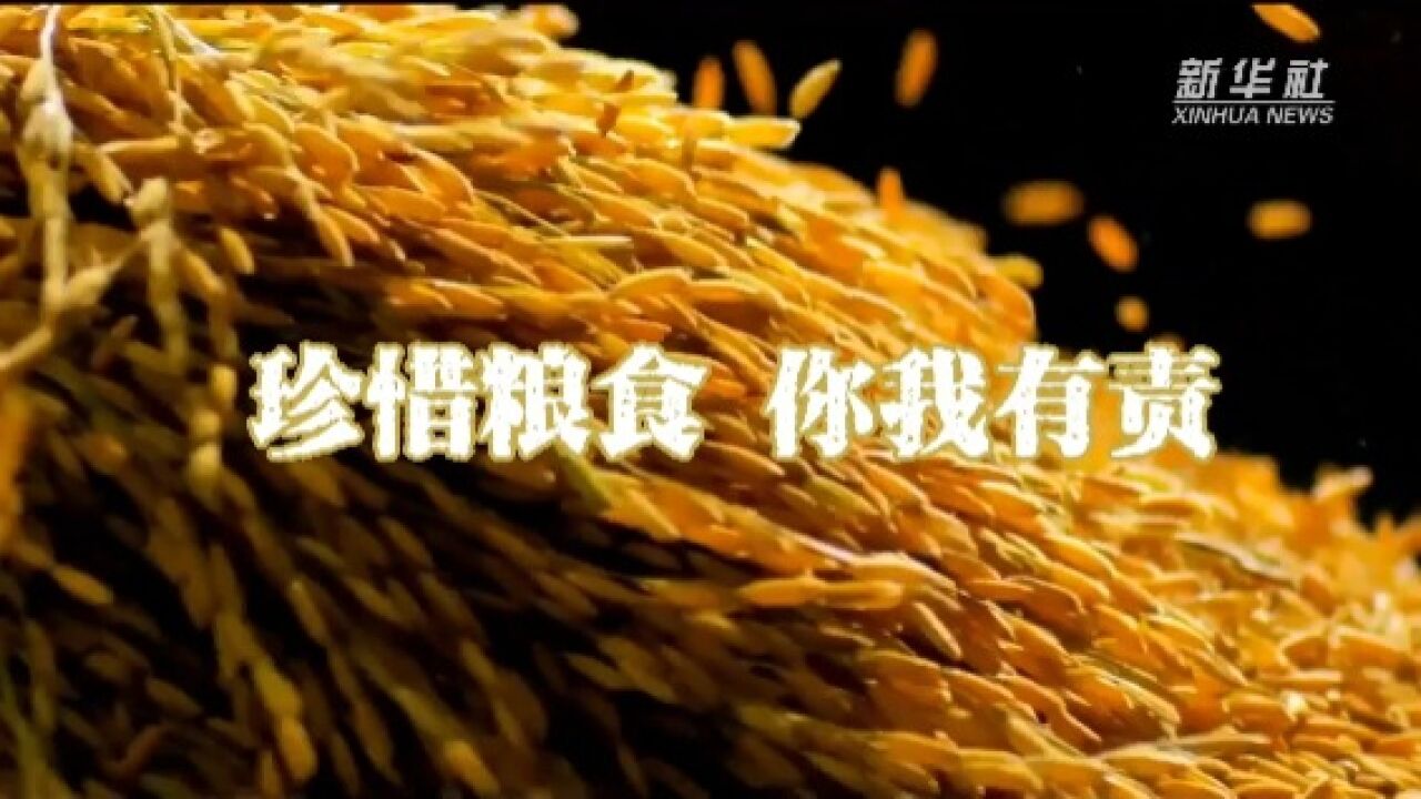 公益微视频|珍惜粮食,你我有责