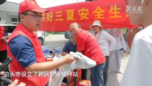 央媒看沧州|河北泊头:“渤海粮仓”抢抓农时忙麦收