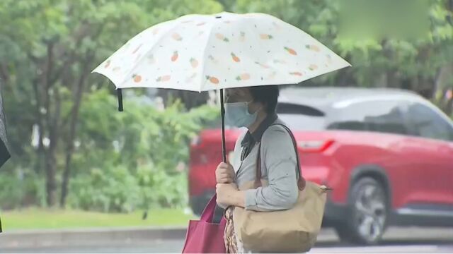 上海进入梅雨季,强降雨来袭