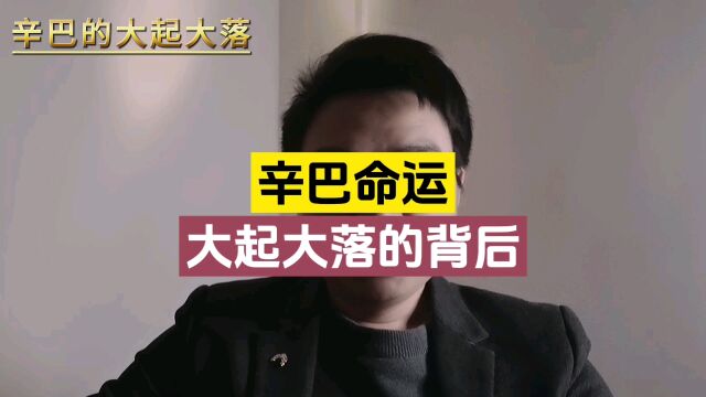 一夜暴富与一夜封号,辛巴的命运大起大落,谁是幕后黑手?