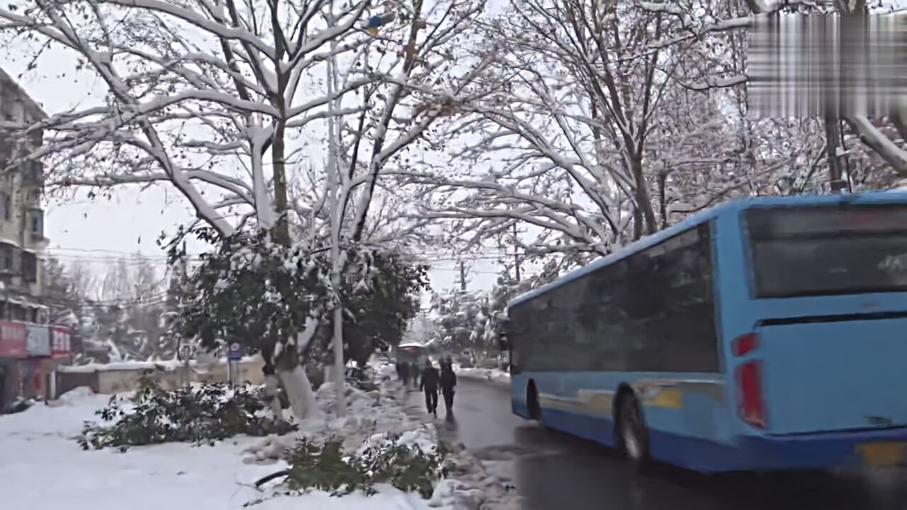 佳木斯市:因暴雪天气,11月7日起暂停城市公交运营