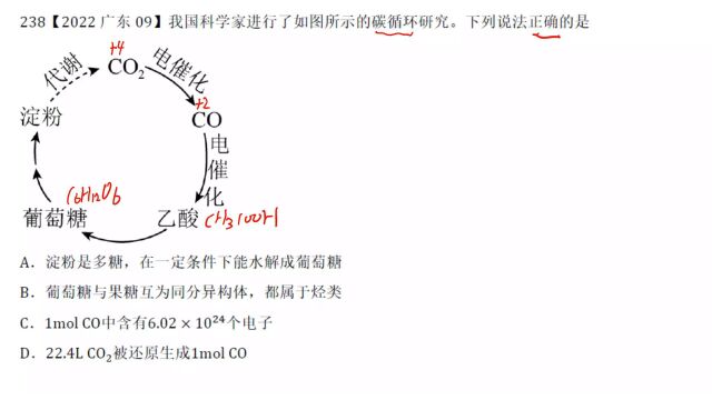 2022广东高考化学9有机化学