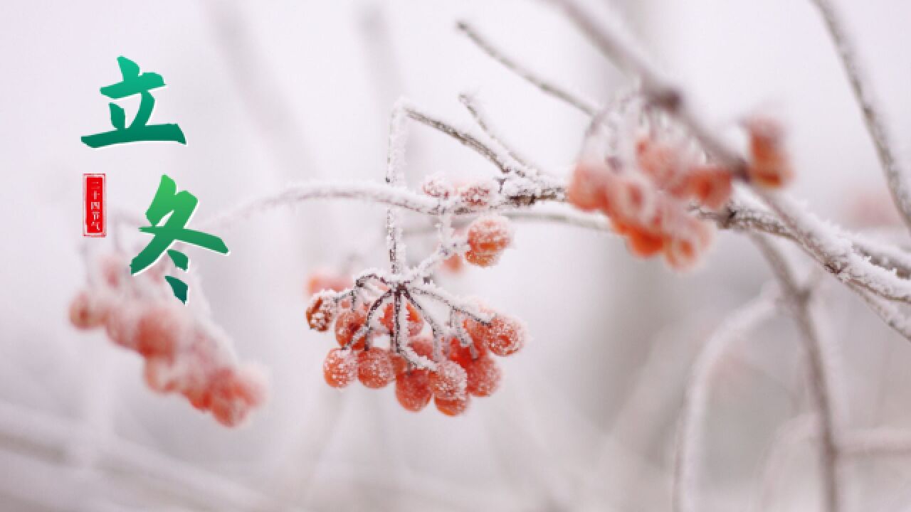 立冬时节:从“心”开始,温暖整个冬季