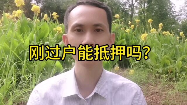 房子刚过户,可以抵押吗?