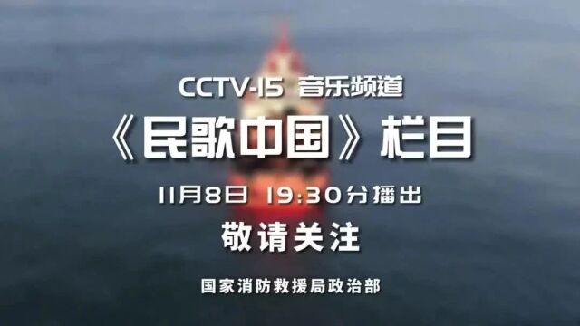 《精彩火焰蓝119音乐专题节目》11月8日19:30在央视CCTV15播出