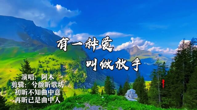 《有一种爱叫做放手》阿木 经典老歌 百听不厌