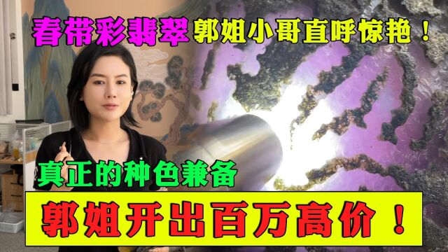 春带彩翡翠郭姐小哥直呼惊艳!真正的种色兼备,郭姐开出百万高价!