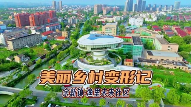 华泓农科助力遂昌探索“稻菌轮作”模式入选省级典型案例