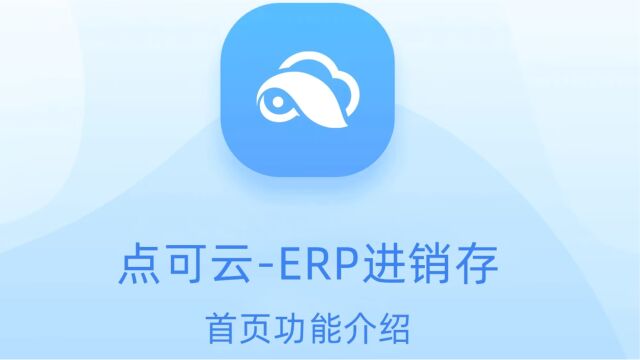 #erp#进销存#软件视频 