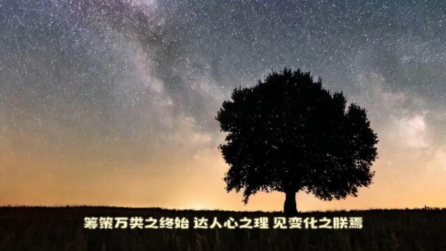 纵横捭阖一 其道一也