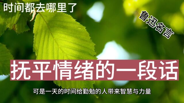 珍惜时光|放下手机拥抱一下自己的爱人吧