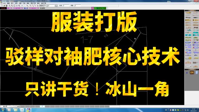 服装打版 连身袖驳样对袖肥核心 王兴满技术冰山一角现场更精彩