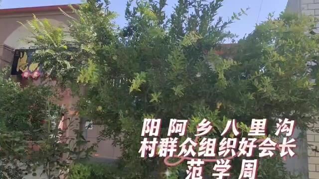 【原阳好人】阳阿乡八里沟村群众组织好会长范学周#“原阳好人”“记者百村行”进基层系列报道 #户户有好人