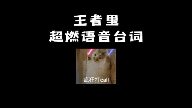 王者荣耀里英雄们的超燃台词!