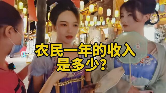 农民一年的收入是多少?