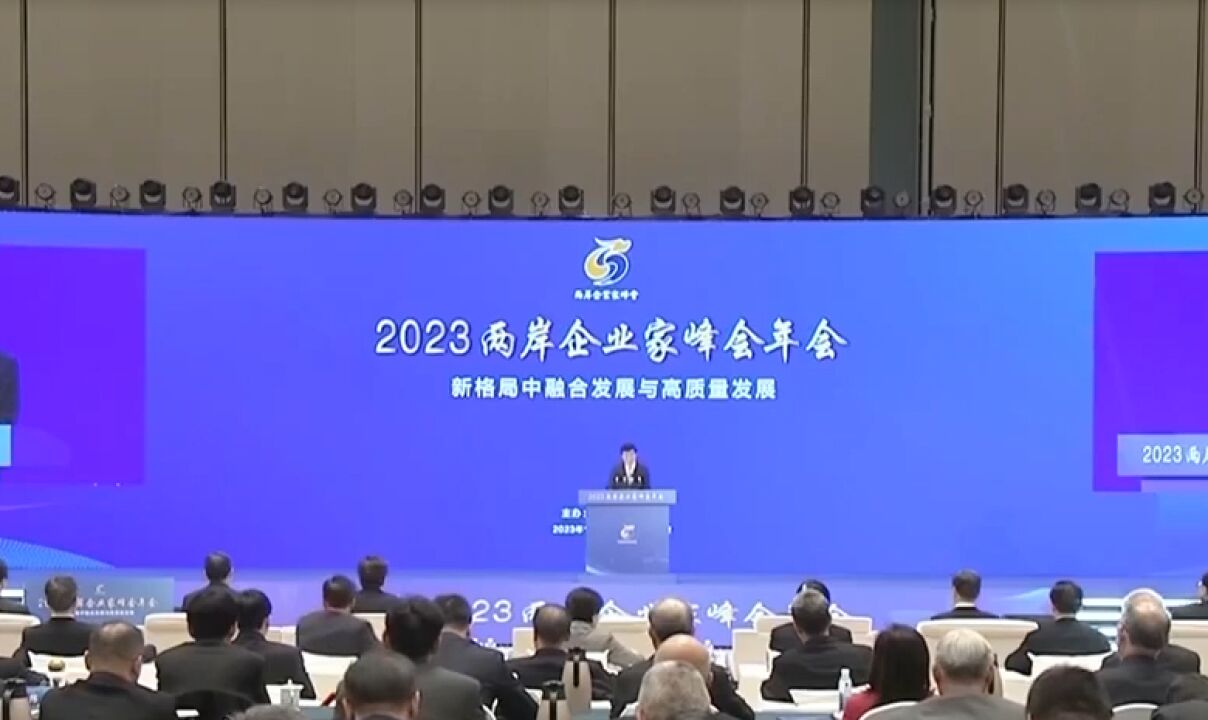 2023两岸企业家峰会10周年年会开幕式在南京举行