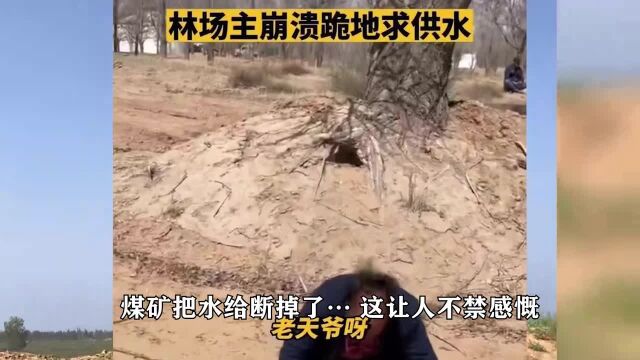 治沙英雄孙国友:跪地哭喊万亩治沙苗木即将断水枯死,走投无路