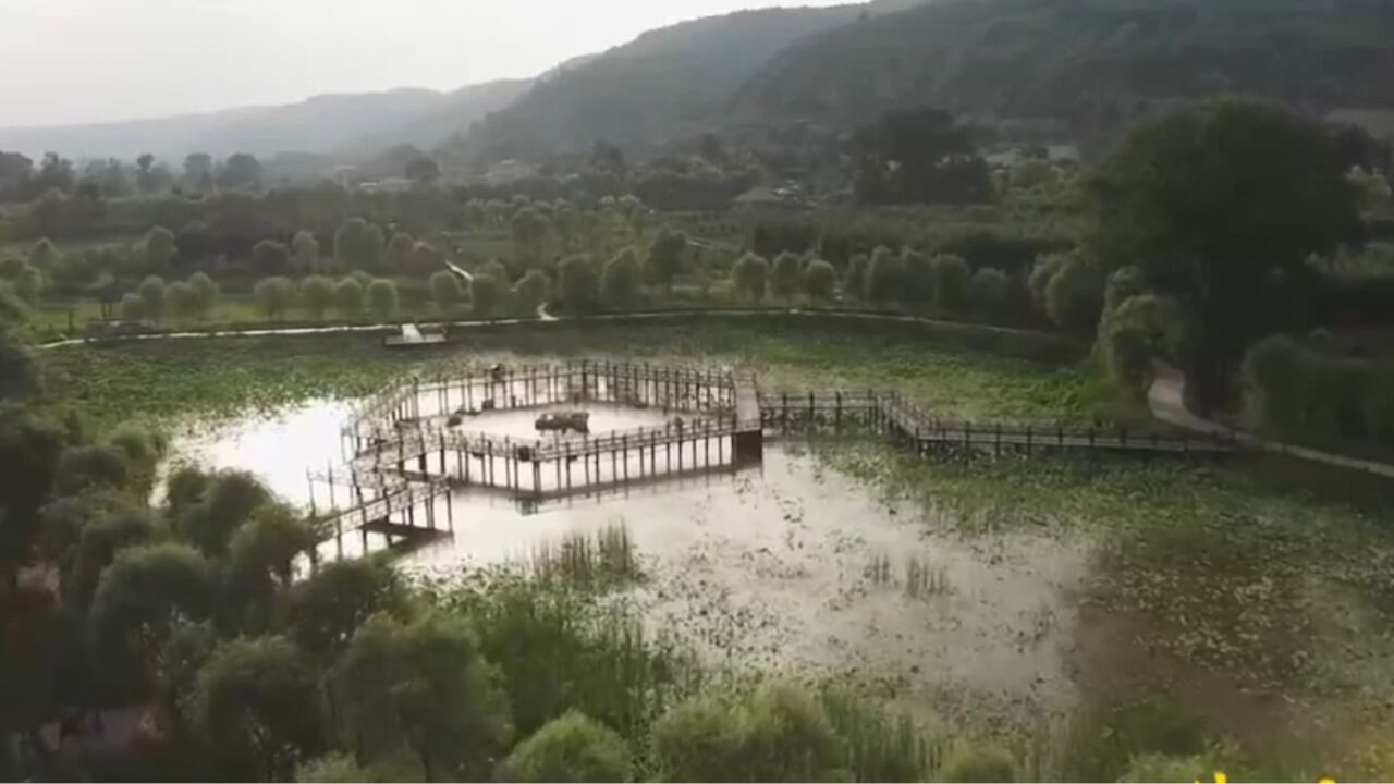 莲池村有山有水风景优美,文旅融合为村经济插上翅膀