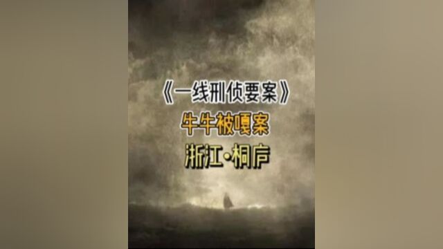 牛牛被嘎案,浙江桐庐女狠人4