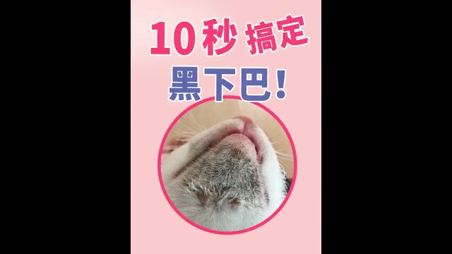 10秒搞定黑下巴养猫妙招毛囊炎清理护理养猫妙招#萌宠成精了