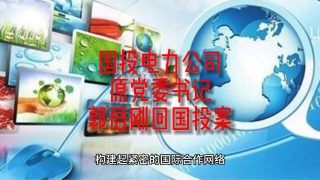 国投电力公司原党委书记郭启刚回国投案