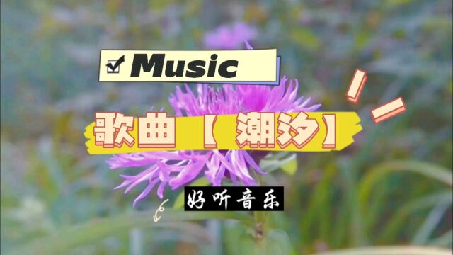 一首好听歌曲【潮汐】,旋律悠扬好听!