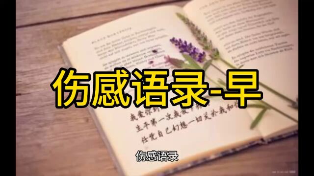 伤感语录. 每日三更之早间作品