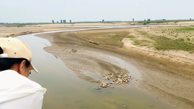 沈阳辽河秀水河交汇处辽滨塔村,这曾经洪水频发,现干涸成条溪流 #生态环境