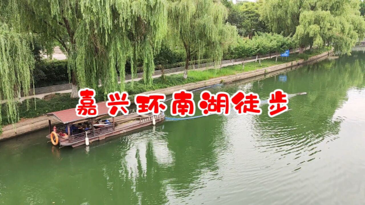 嘉兴环南湖徒步,壕股塔俯瞰禾城美景