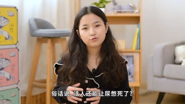 猫咪尿闭怎么办?如何预防尿闭?如何避免复发?#萌宠成精了