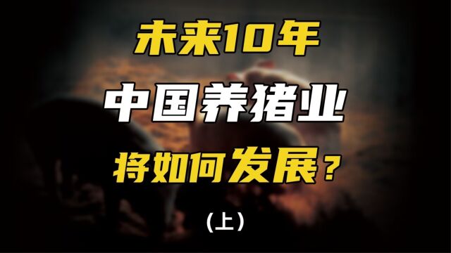 未来10年养猪业将如何发展?官方文件透露4大信号!具体是啥?