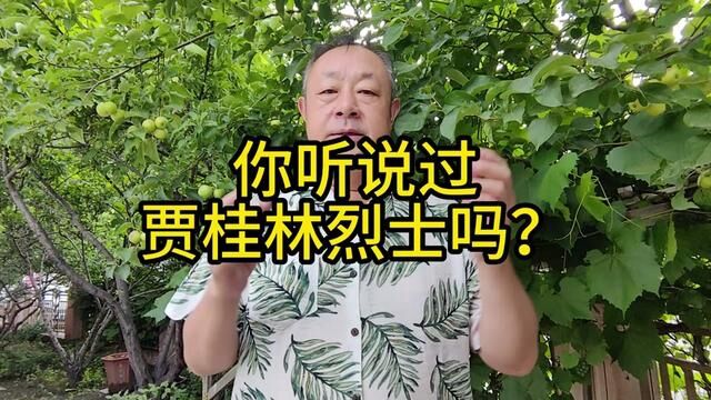 长春市桂林路是因为贾桂林烈士命名的吗?#长春同城 #抗日英雄 #历史 #每天跟我涨知识