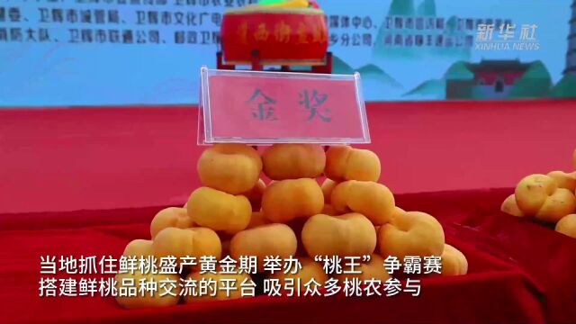 河南卫辉:甜蜜果助力乡村振兴