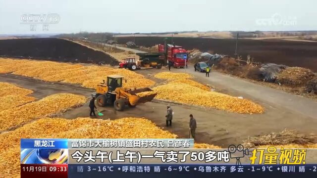 北粮南运进入高峰期!粮食外运提速,农民卖粮快,储粮成本降低