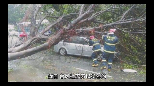 台风“杜苏芮”在晋江沿海登陆