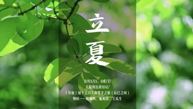 【立夏】关于夏天的记忆~二十四节气 07 